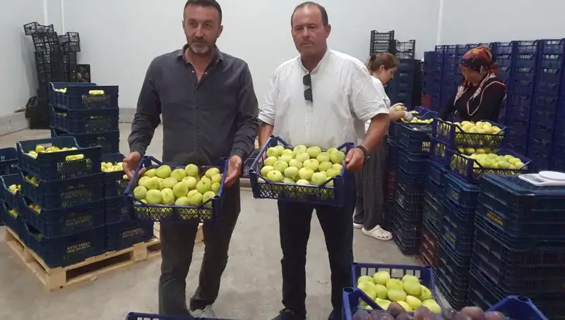 Mersinli Çiftçiler İçin Yeni Bir Dönem: İhraç Fırsatları Artıyor