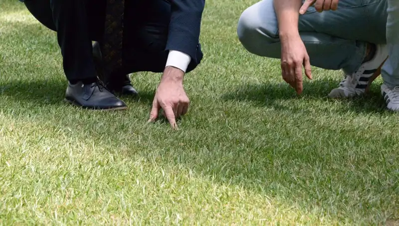 Stadyum Zeminindeki Tartışmalar Sona Eriyor: 10 Gün İçinde Tamamlanacak