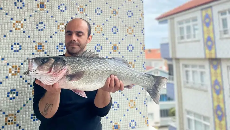 7,5 Kiloluk Dev Levrek, Balıkçıların Dikkatini Çekti!