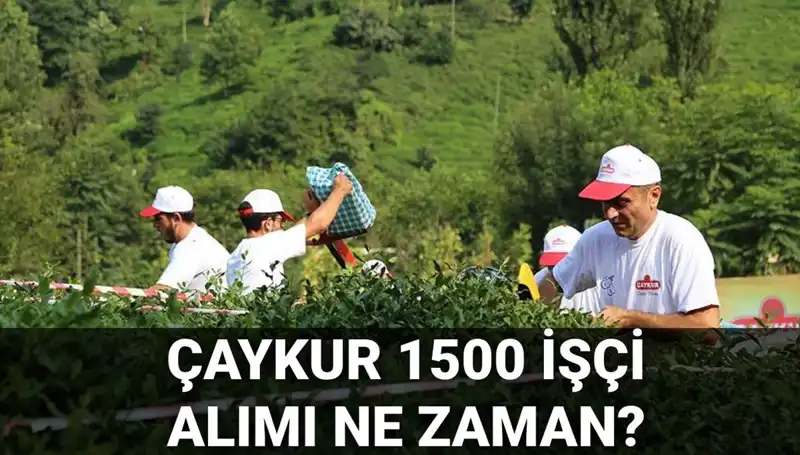 Çaykur İşçi Alımı İçin Başvuru Tarihleri ve Süreç Hakkında Bilgilere Ulaşın!