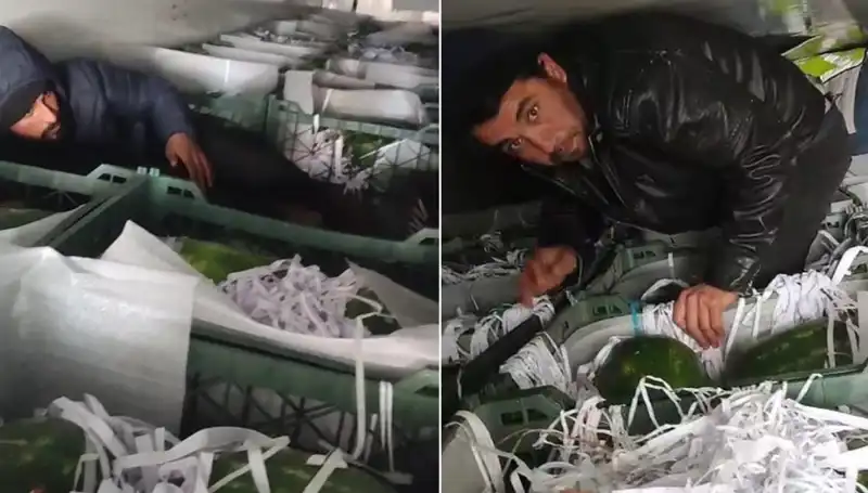 Türkiye'ye Gizlice Giren Göçmenler Karpuzların Arasından Çıktı