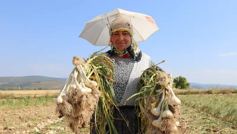 İşçiler Kavurucu Sıcaklarda Günde 1200 TL Kazanmanın Mücadelesini Veriyor