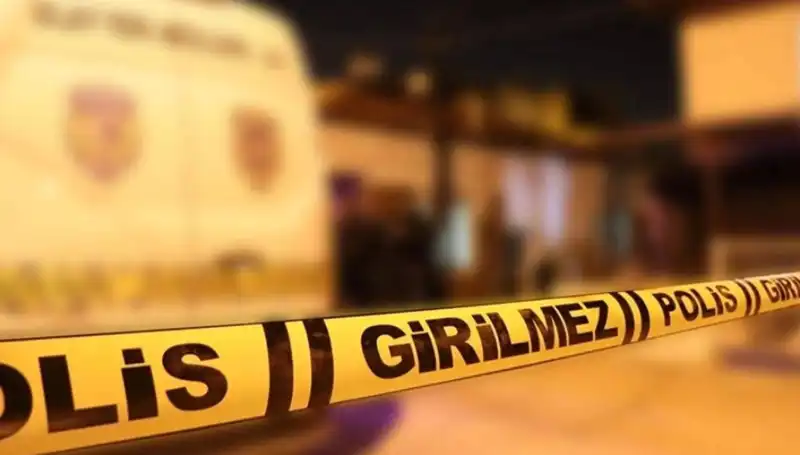 Diyarbakır'da Kayınpeder Dehşeti: Aile İçi Şiddetin Acı Yüzü
