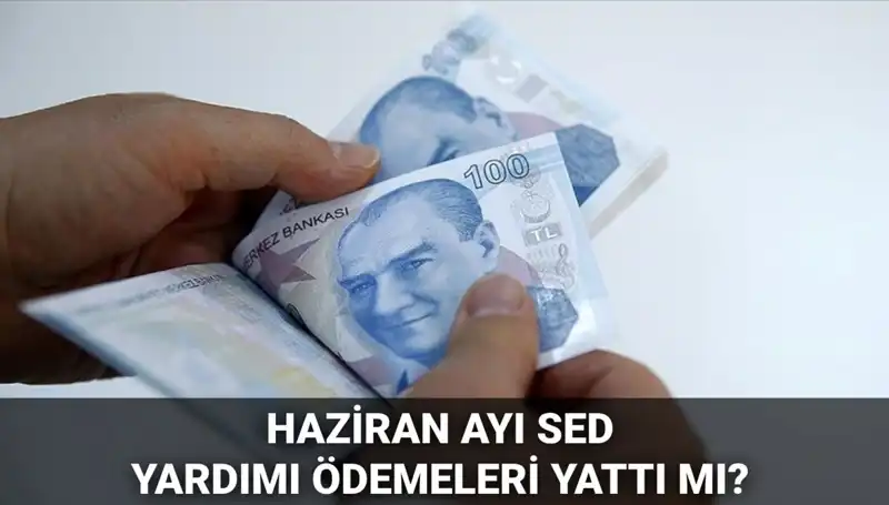 2025 Haziran SED Ödemeleri: Hesapların Kontrolü ve Beklentiler