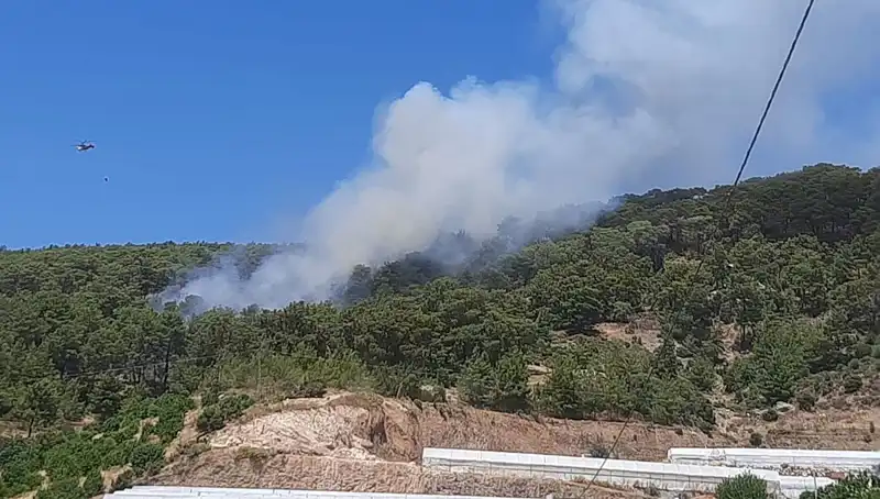Kumluca'da Orman Yangını: Alevler Kısa Sürede Kontrol Altına Alındı