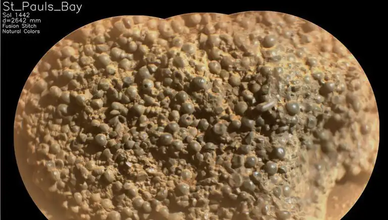 Mars'ta Şaşırtıcı Keşif: Örümcek Yumurtalarına Benzeyen Yapılar Bulundu