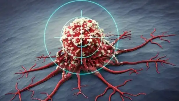 Prostat Kanserine Karşı Koruyucu Güç: 6 Besin Bilimsel Olarak Kanıtlandı