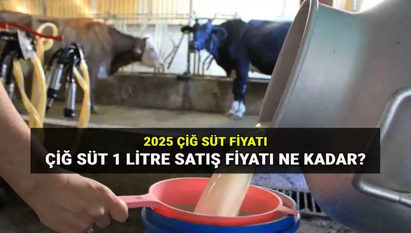 2025’te Çiğ Süt Fiyatları: Ulusal Süt Konseyi Açıklamaları Neler?