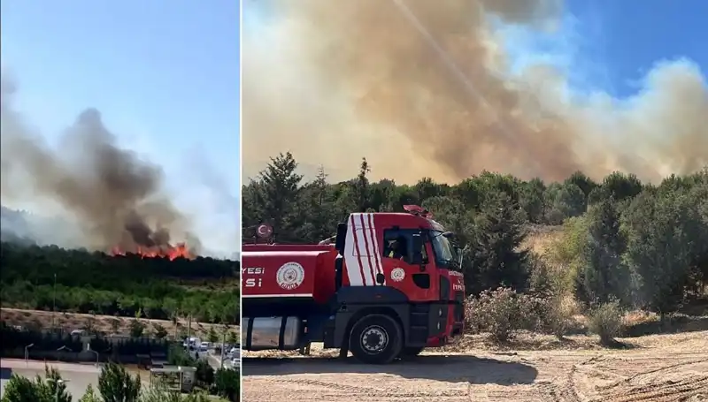 Gebze'deki Orman Yangını: Yangın Söndürme Ekipleri Seferber Oldu!