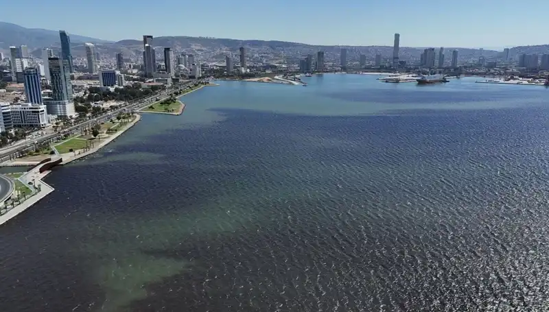 İzmir Körfezi'nde Neden Kötü Koku Yükseliyor? Son Gelişmeler ve Etkileri