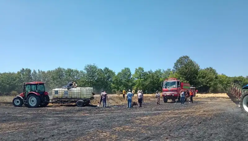 Buğday Tarlasında Yangın: 10 Dönüm Zarar Gördü!
