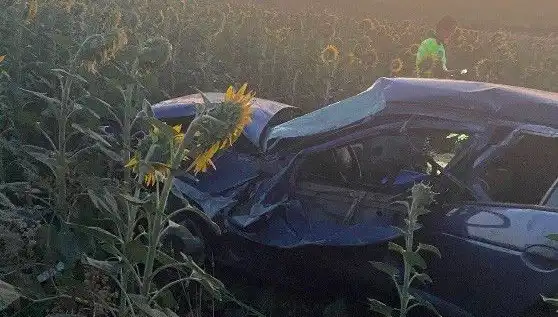 Otomobil Ayçiçeği Tarlasına Devrildi: Kaza Anı ve Yaralılar Hakkında Her Şey