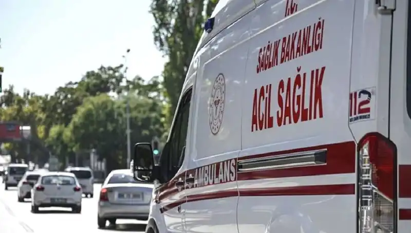Böcek Korkusu Apartmanı Tahliye Ettirdi, Mangalda Pul Biber Yanarak Evleri Sardı!