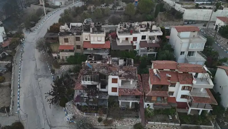 Sonbahar Yangınları: Ormanda Yangınlar Korkunç Sonuçlar Doğurdu