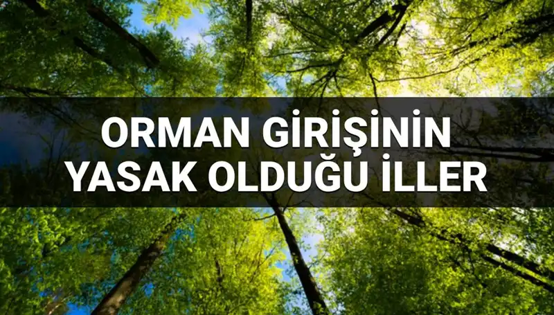 2025'te Hangi İllerde Ormana Girmek Yasak? Tüm Detaylar Burada!