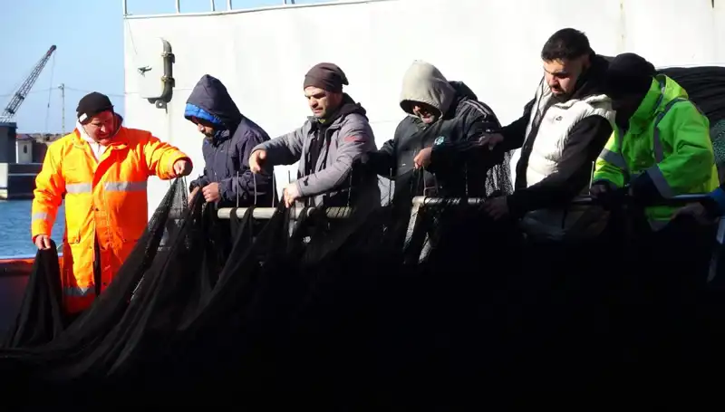 Denizlerde Hamsi Avı Sonunda: Tekneler Neden Erken Dönüş Yaptı?