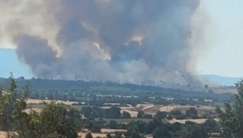 Edirne'yi Tehdit Eden Komşudaki Orman Yangınına Dikkat!