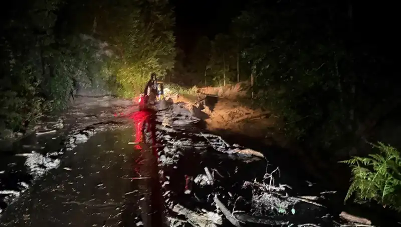 Rize'de Şiddetli Yağışlar Hayatı Felç Etti: Sel ve Heyelanlar Endişe Verici