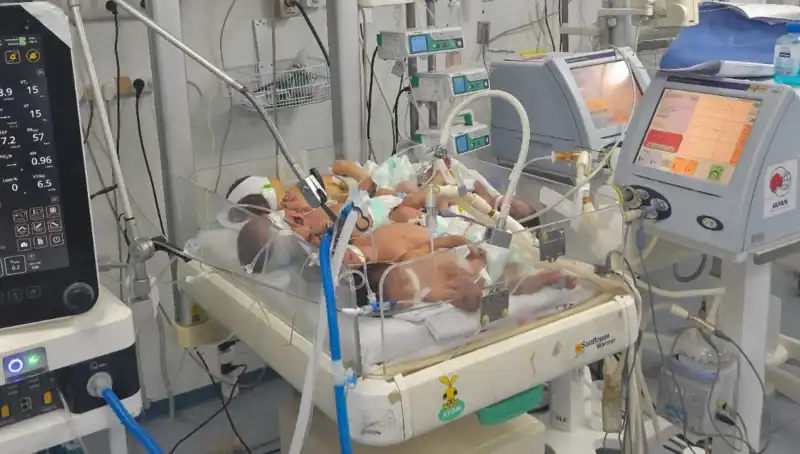 Gazzeli Doktorların Çaresizliği: Birden Fazla Bebek Aynı Kuvözde Hayat Mücadelesi Veriyor