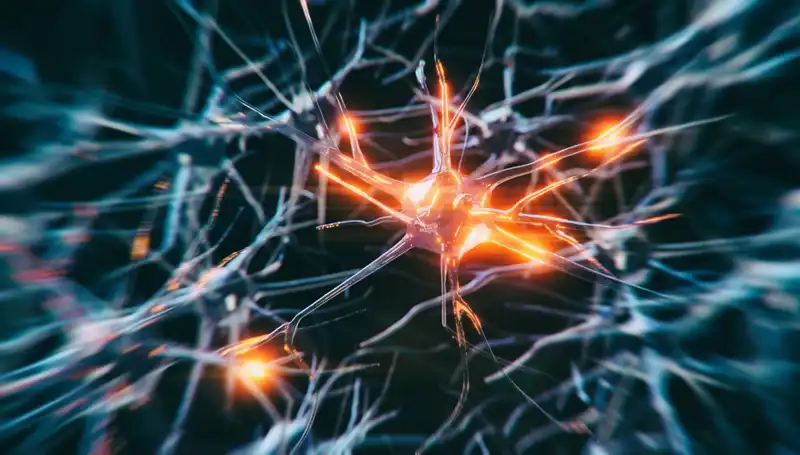 Alzheimer Vakalarındaki Artışın Ana Nedenleri ve Önleyici Stratejiler
