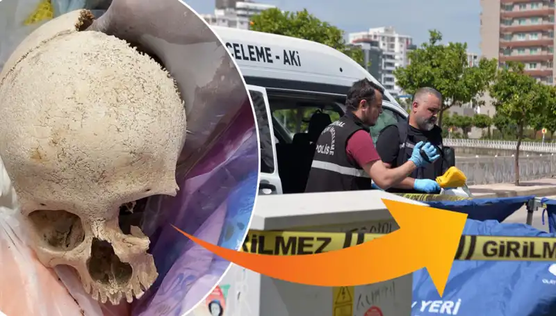 Sitenin Çöpünden Çıkan Kafatasının Gizemi Ortaya Çıktı: Uzman Doktor Tutuklandı