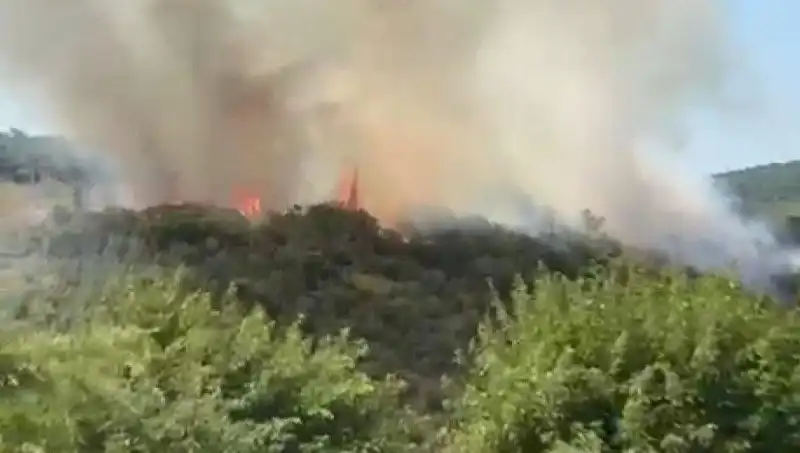 İstanbul'da Açığa Çıkan Orman Yangınında Vatandaşlar Tahliye Edildi!